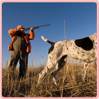 seguros para perros de caza