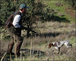 caza menor con perro