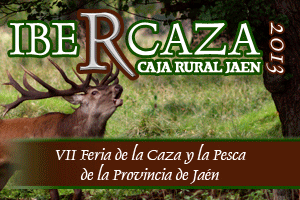 Cartel Ibercaza 2013