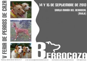 cartel berrocaza 2013