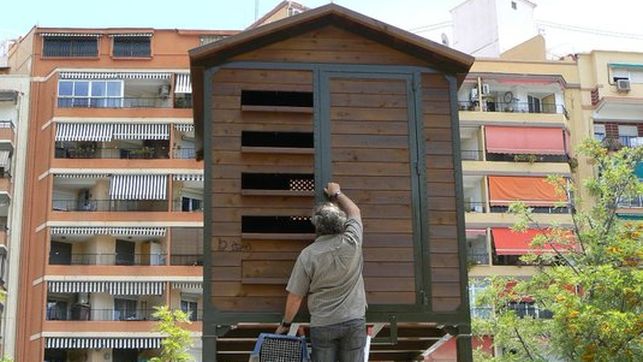 El Ayuntamiento de Valencia quiere controlar las poblaciones de paloma con pienso esterilizante.