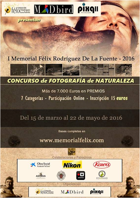 Banner Concurso Fotografia Memorial Felix 2