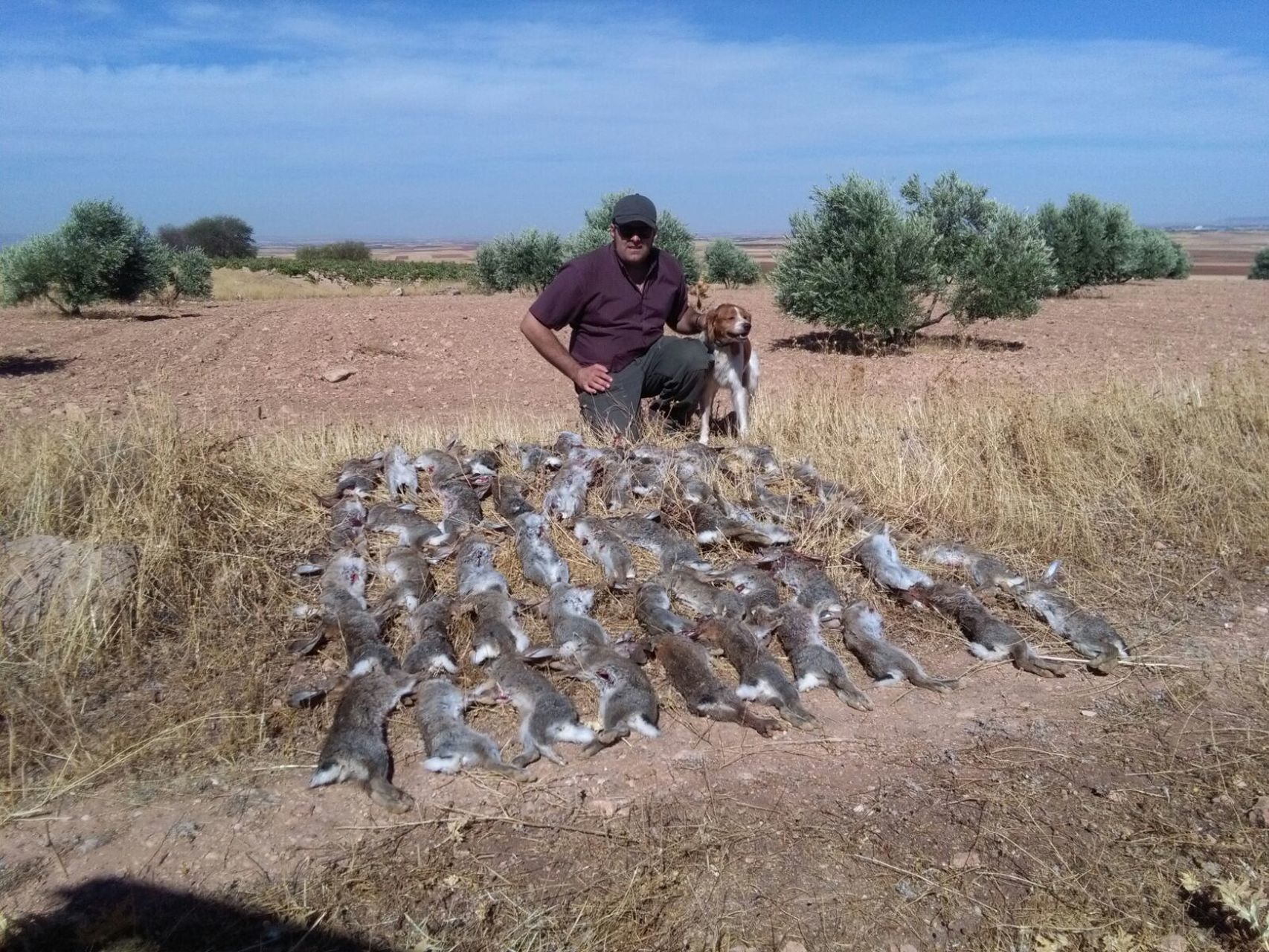 Emilio, uno de los cazadores que tratan de acabar con la plaga de conejos - Jorge Barreno