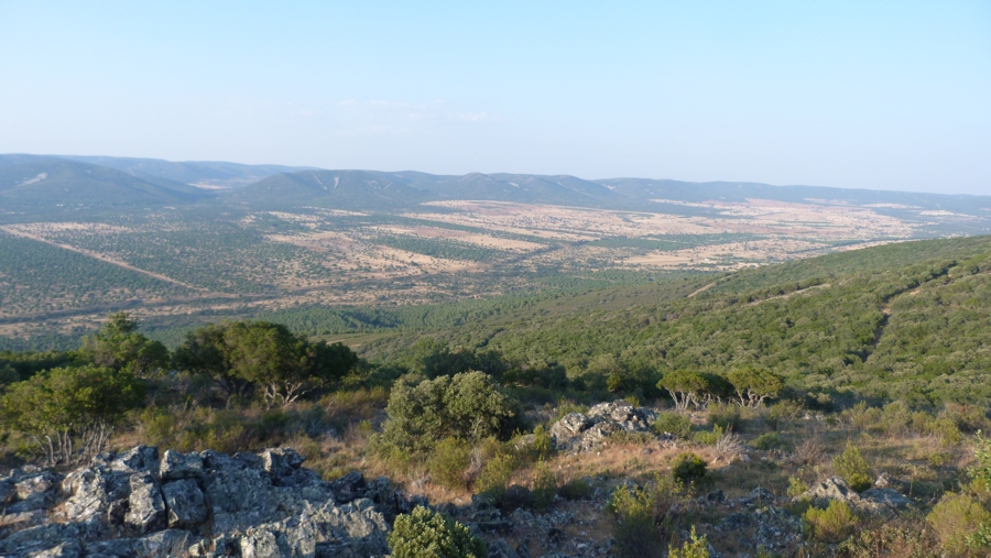 motivación que tienen, se den 2 días de caza en montería magníficos.