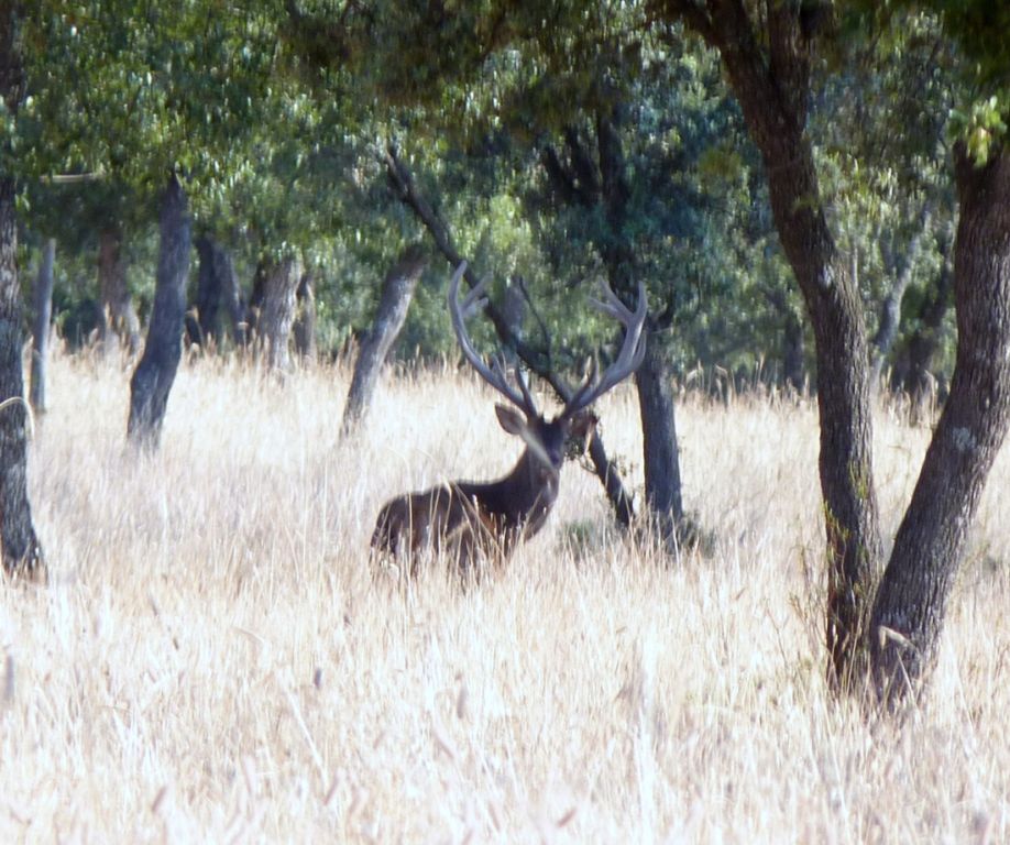 4 comentarios. ¿Quieres agregar algo?