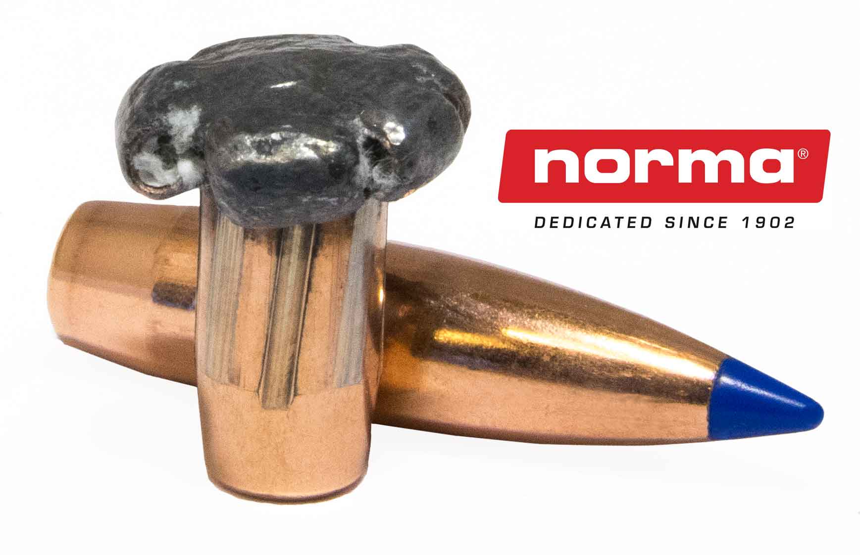 Bala Norma de punta azul