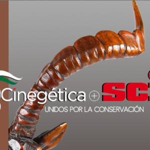 Entradas Cinegética 2026