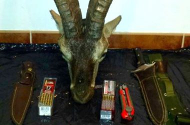 Macho montes, munición y cuchillos incautados en la operación contra el furtivismo.