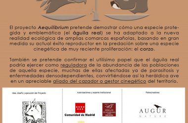 El proyecto Aequilibrium de la Asociación del Corzo Español estudiará el águila real y el corzo.