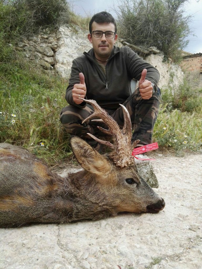 Gran trofeo de corzo cazado por Nacho San Juan en Borja (Zaragoza)