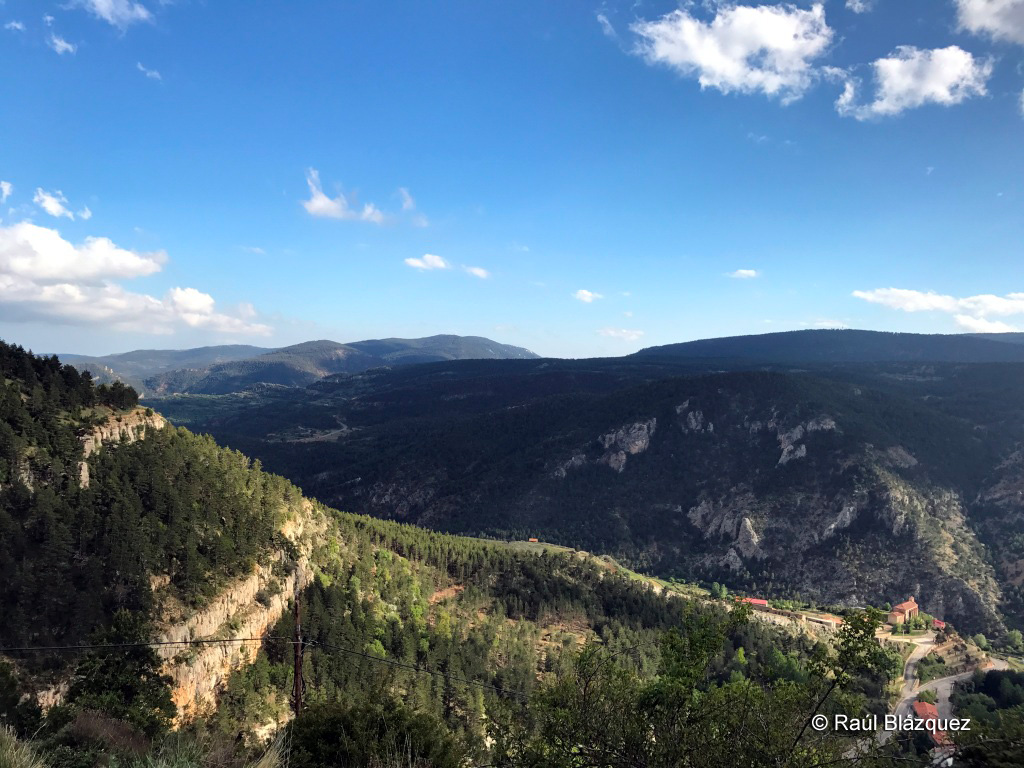 Terrenos de Teruel para el rececho del macho montés