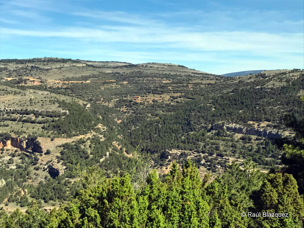 Montes de la serranía de Teruel para la caza del macho montés