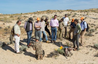 Explicaciones durante el Curso práctico de seguimiento de huellas en Doñana de la Aepes.