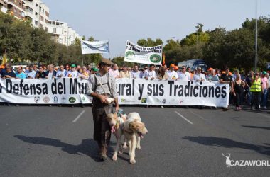 Los rehaleros también han estado presentes en la manifestación del Mundo Rural en Córdoba.