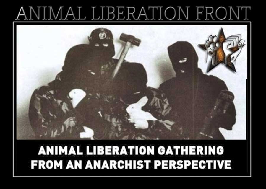 Así atacan a los cazadores los animalistas radicales del Frente de Liberación  Animal - Cazaworld