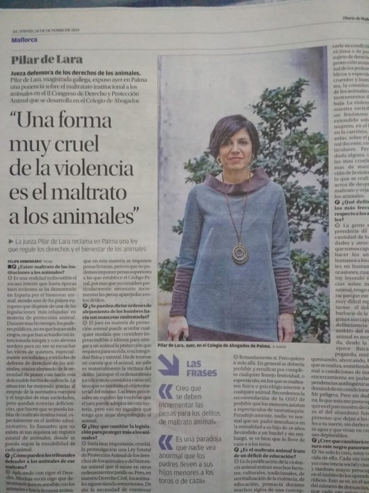 Entrevista a Pilar de Lara para Diario de Mallorca / Fuente A punto con Michel Coya