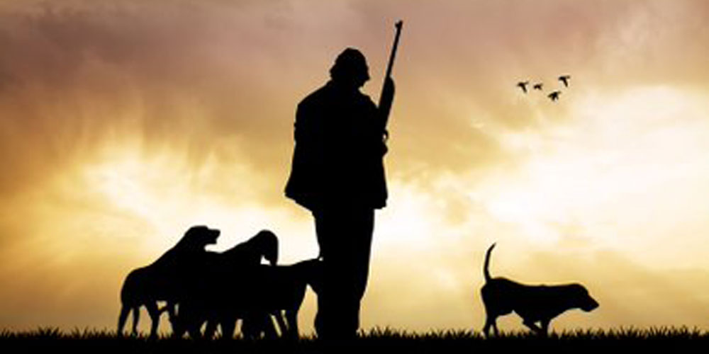 Silueta de cazador con perros