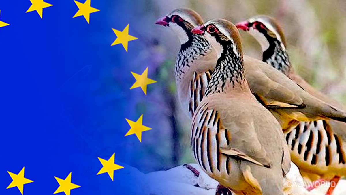 Perdiz-roja-Union-Europea
