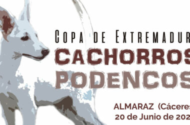 copa-cachorros-podenco-Extremadura