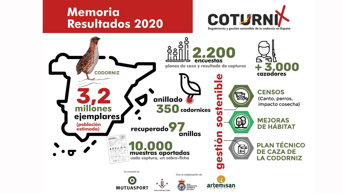 Infografía primera fase Proyecto Coturnix 2020