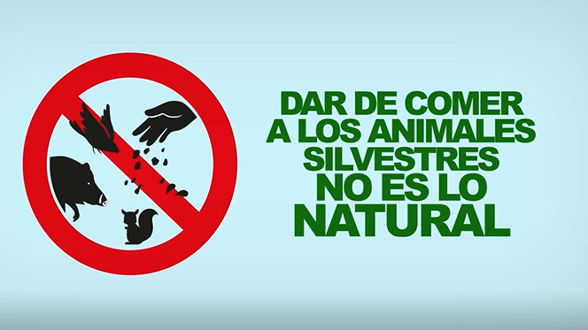 campaña-no-des-de-comer-a-los-animales-silvestres-1