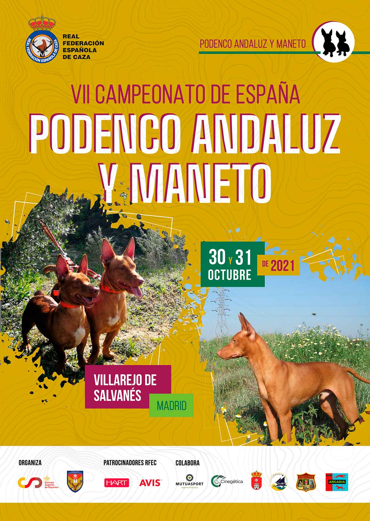 Campeonato de España de Podenco Andaluz y Maneto