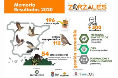 Proyecto Zorzales