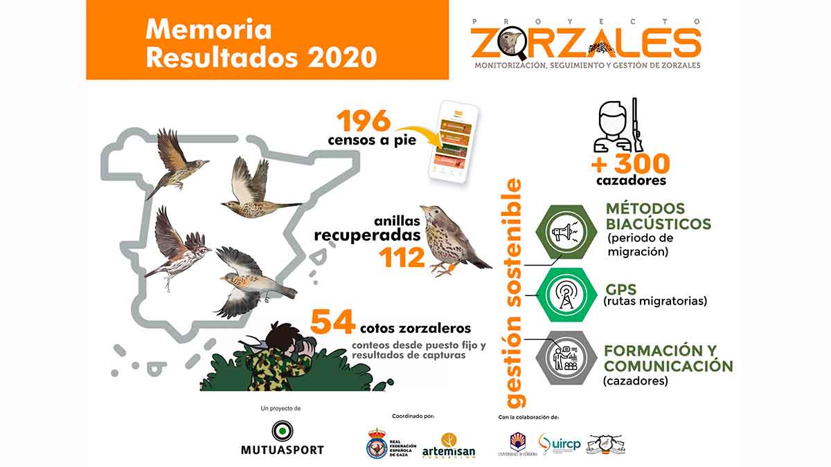Proyecto Zorzales