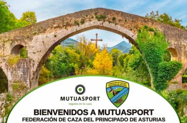 Mutuasport Asturias